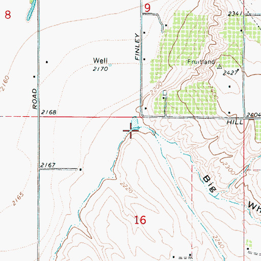 Topographic Map of Big Whitley Gulch, ID