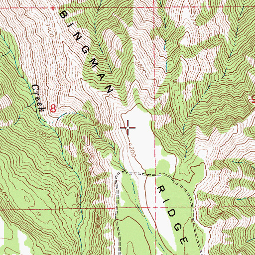 Topographic Map of Bingman Ridge, ID
