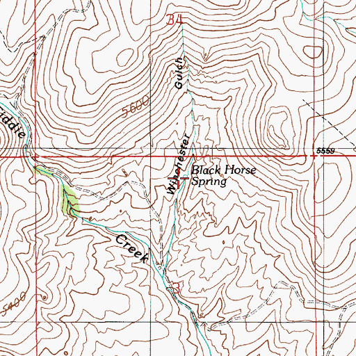 Topographic Map of Black Horse Spring, ID