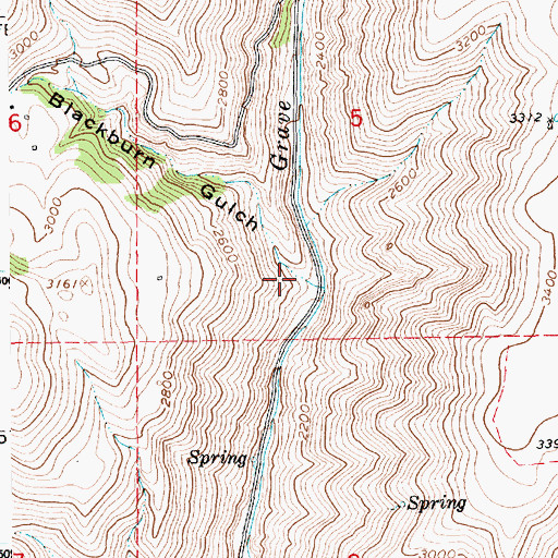 Topographic Map of Blackburn Gulch, ID