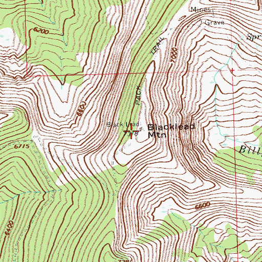 Topographic Map of Blacklead Mountain, ID