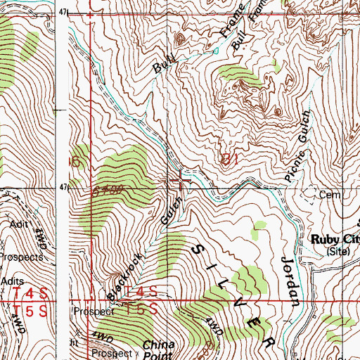Topographic Map of Blackrock Gulch, ID