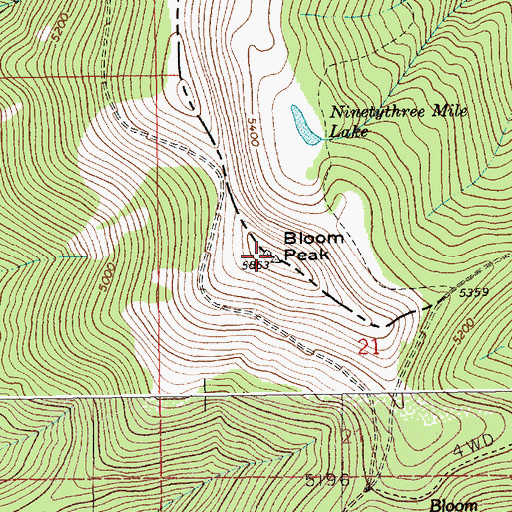Topographic Map of Bloom Peak, ID