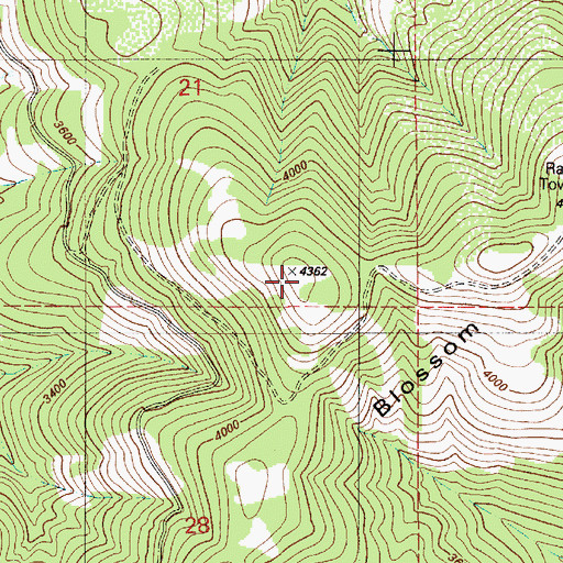 Topographic Map of Blossom Mountain, ID