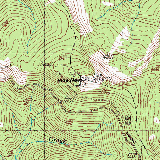 Topographic Map of Blue Nose, ID