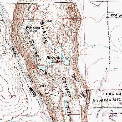 Topographic Map of Bluegill Lake, ID
