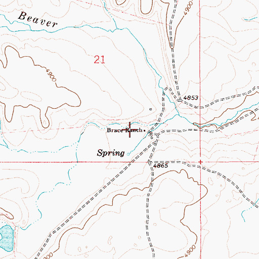 Topographic Map of Brace Ranch, ID