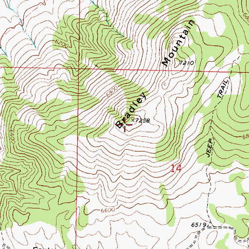 Topographic Map of Bradley Mountain, ID