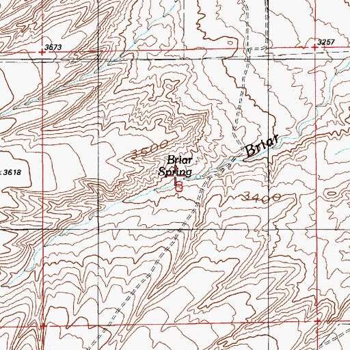 Topographic Map of Briar Spring, ID