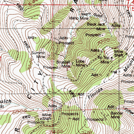Topographic Map of Brunzell Mine, ID