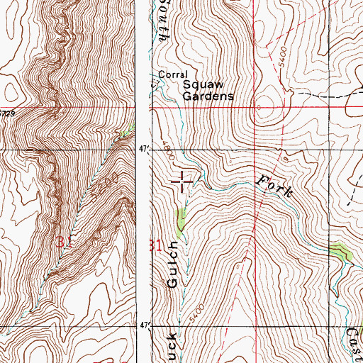 Topographic Map of Buck Gulch, ID