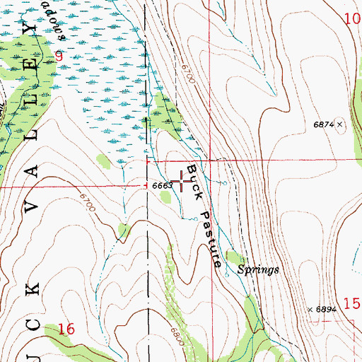 Topographic Map of Buck Pasture, ID