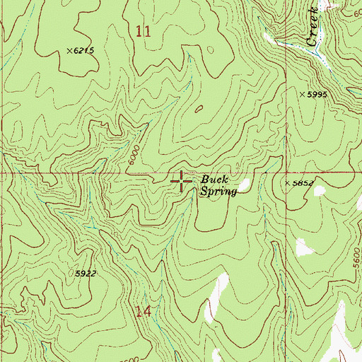 Topographic Map of Buck Spring, ID