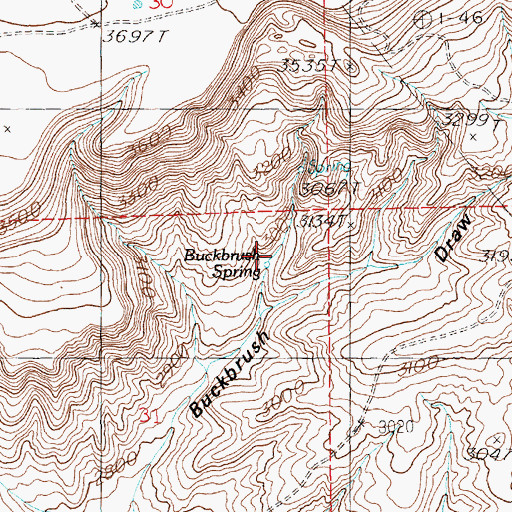 Topographic Map of Buckbrush Spring, ID
