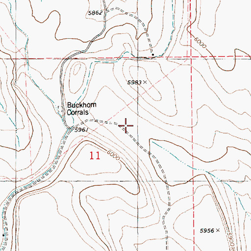 Topographic Map of Buckhorn Corrals, ID