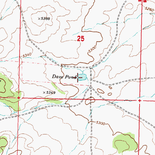 Topographic Map of Dave Pond, AZ