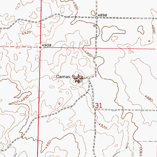 Topographic Map of Camas Butte Well, ID
