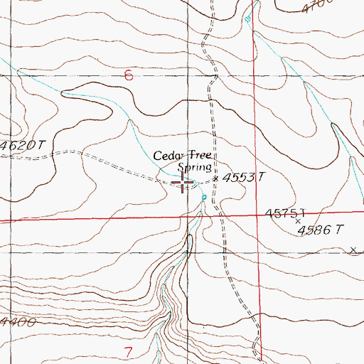 Topographic Map of Cedar Tree Spring, ID