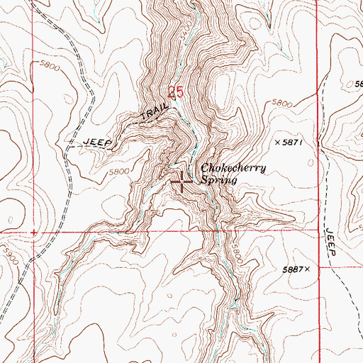 Topographic Map of Chokecherry Spring, ID