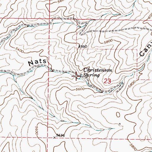 Topographic Map of Christenson Spring, ID