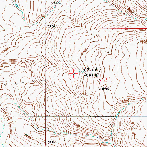 Topographic Map of Chubby Spring, ID