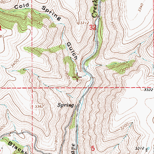 Topographic Map of Cold Spring Gulch, ID