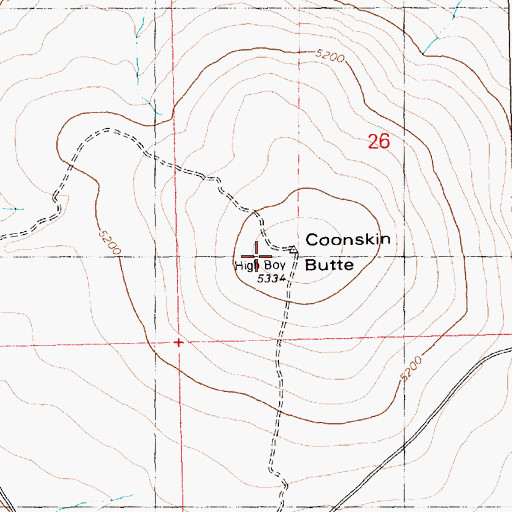 Topographic Map of Coonskin Butte, ID