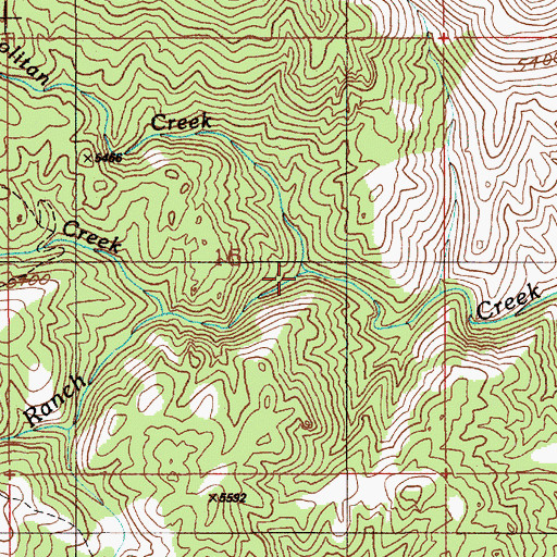 Topographic Map of Cosmopolitan Creek, ID
