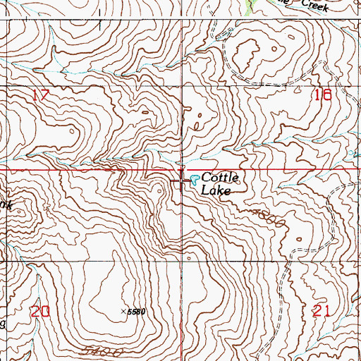 Topographic Map of Cottle Lake, ID
