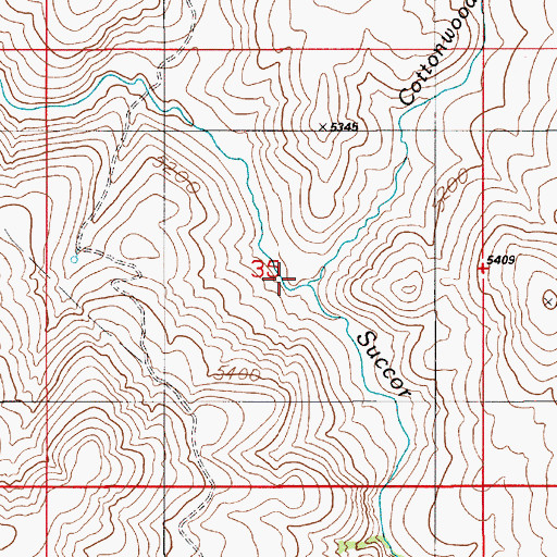 Topographic Map of Cottonwood Creek, ID