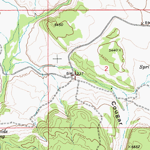 Topographic Map of Cougar Canyon, ID