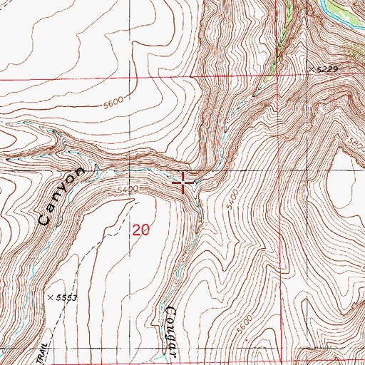 Topographic Map of Cougar Creek, ID
