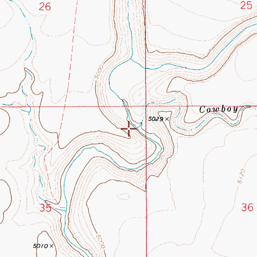 Topographic Map of Cowboy Creek, ID