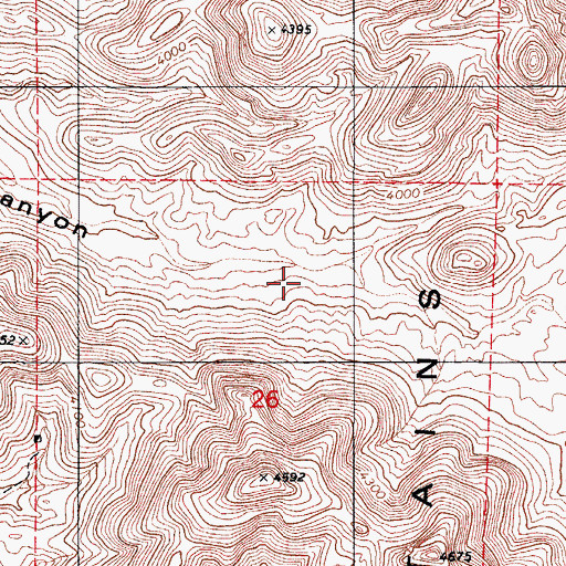 Topographic Map of Cienegita Spring, AZ