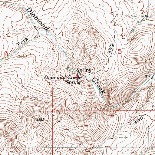 Topographic Map of Diamond Creek Spring, ID