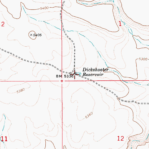 Topographic Map of Dickshooter Reservoir, ID