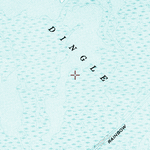 Topographic Map of Dingle Swamp, ID