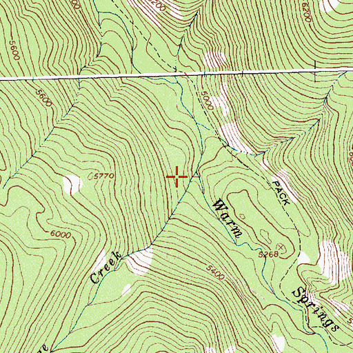 Topographic Map of Dodge Creek, ID