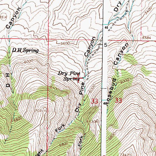 Topographic Map of Dry Pine Spring, ID