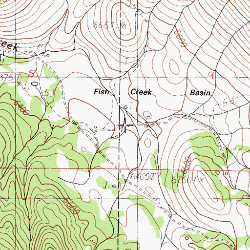 Topographic Map of Fish Creek Basin, ID