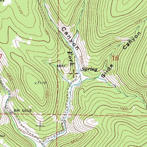 Topographic Map of Fox Canyon, ID