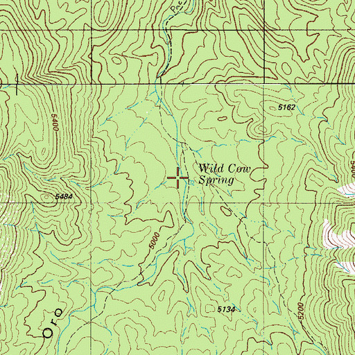 Topographic Map of East Fork Caada del Oro, AZ