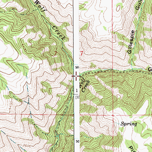 Topographic Map of Gibbons Canyon, ID