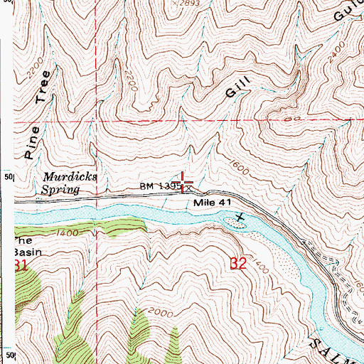 Topographic Map of Gill Gulch, ID