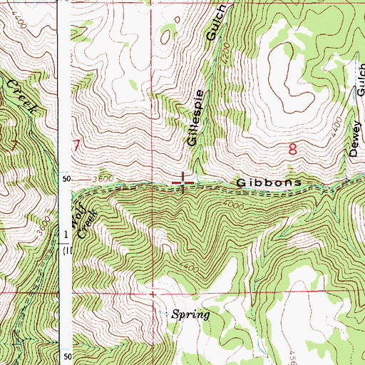 Topographic Map of Gillespie Gulch, ID