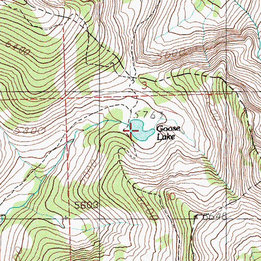 Topographic Map of Goose Lake, ID