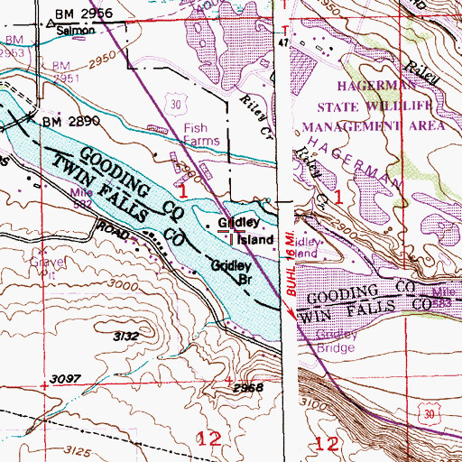 Topographic Map of Gridley Island, ID
