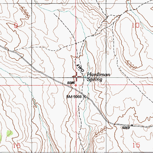 Topographic Map of Hardiman Spring, ID