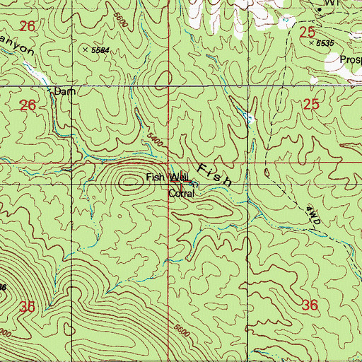 Topographic Map of Fish Well Corral, AZ