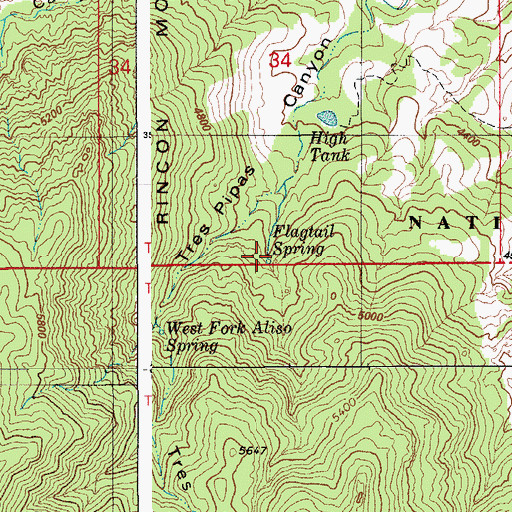 Topographic Map of Flagtail Spring, AZ